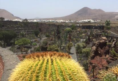 Voyage aux Canarie d'Anne