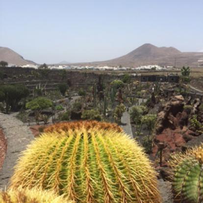 ©Anne J. - Tous Droits Réservés Voyage aux Canarie d'Anne