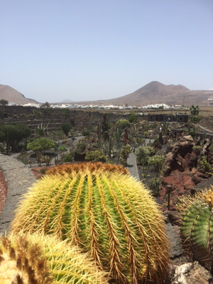©Anne J. - Tous Droits réservés Voyage aux Canarie d'Anne