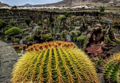 Voyage aux Canarie de Monique et Robin