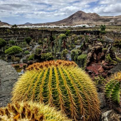 Voyage aux Canarie de Monique et Robin