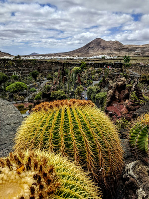 Voyage aux Canarie de Monique et Robin