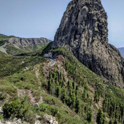 Voyage aux Canarie de Monique et Robin