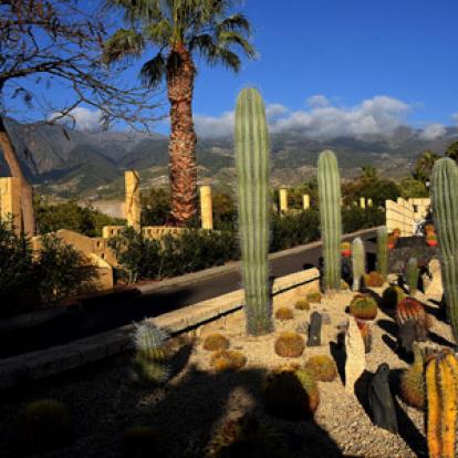 Voyage aux Canarie de Marc et Annick