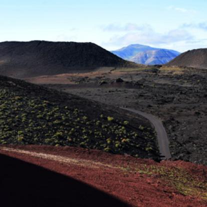 Voyage aux Canarie de Marc et Annick