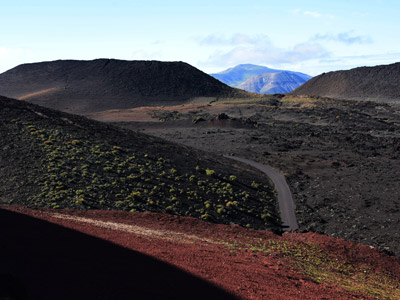 Voyage aux Canarie de Marc et Annick