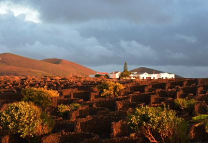 Voyage aux Canarie de Marc et Annick