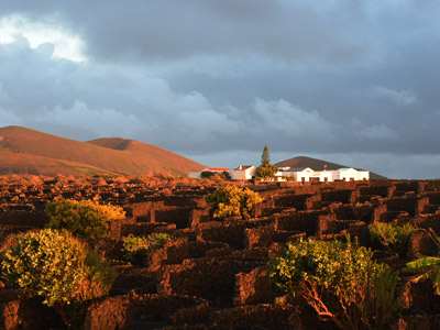 Voyage aux Canarie de Marc et Annick