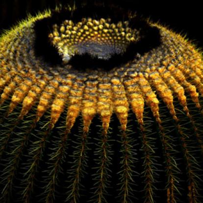 Voyage aux Canarie de Marc et Annick