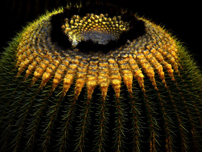 Voyage aux Canarie de Marc et Annick