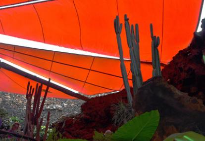 Voyage aux Canarie de Marc et Annick