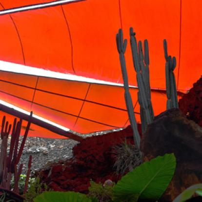 Voyage aux Canarie de Marc et Annick