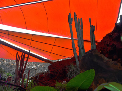 Voyage aux Canarie de Marc et Annick