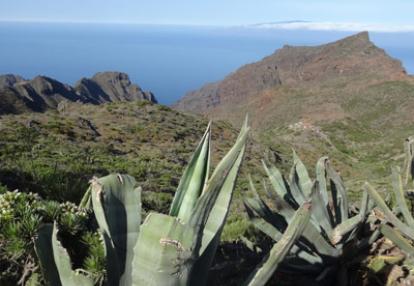 Voyage aux Canaries de Dominique