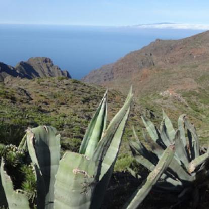 Voyage aux Canaries de Dominique