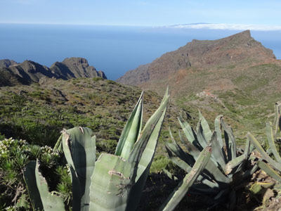 Voyage aux Canaries de Dominique