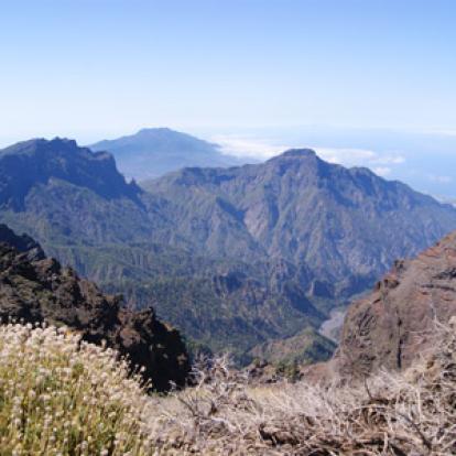 Voyage aux Canaries de Patricia