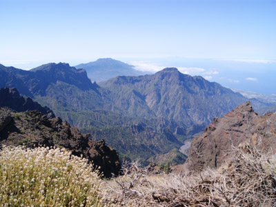 Voyage aux Canaries de Patricia
