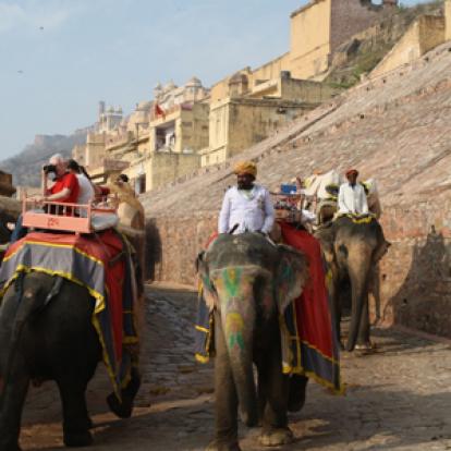 Voyage en Inde de Nicolas et Sidonie