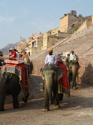 Voyage en Inde de Nicolas et Sidonie