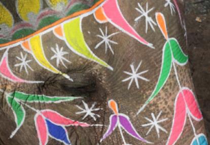 ©Nicolas - Tous Droits réservés Voyage en Inde de Nicolas et Sidonie