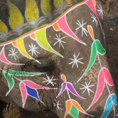 Voyage en Inde de Nicolas et Sidonie