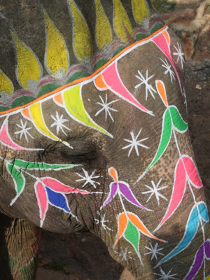 Voyage en Inde de Nicolas et Sidonie