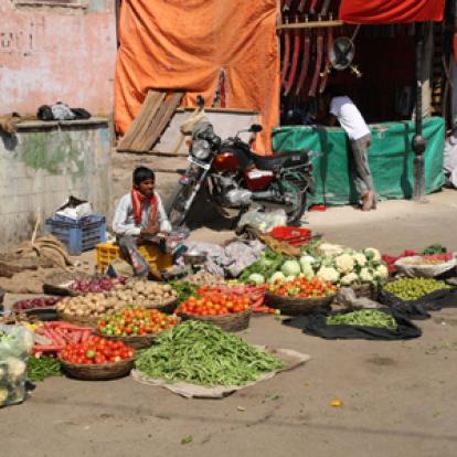 Voyage en Inde de Nicolas et Sidonie