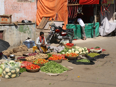 Voyage en Inde de Nicolas et Sidonie