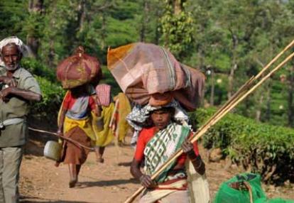 Voyage en Inde d'Erik