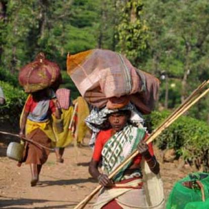 Voyage en Inde d'Erik