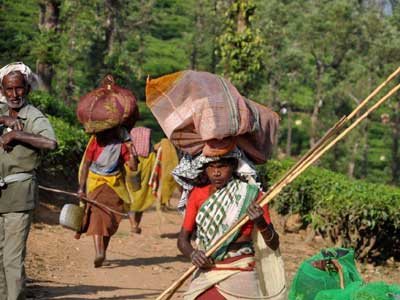 Voyage en Inde d'Erik