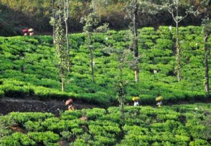 Voyage en Inde d'Erik