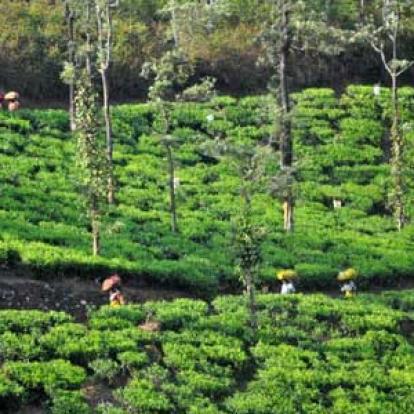 Voyage en Inde d'Erik