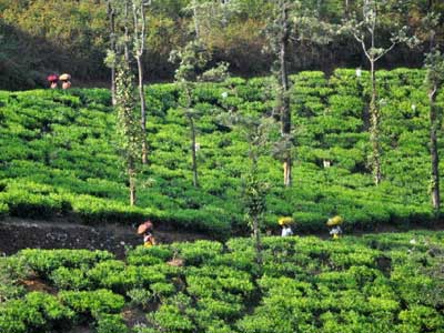 Voyage en Inde d'Erik