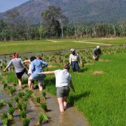Voyage en Inde d'Erik