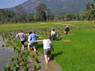 Voyage en Inde d'Erik