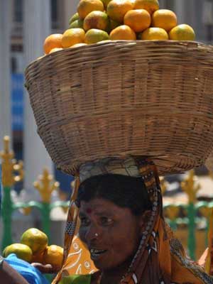 Voyage en Inde d'Erik
