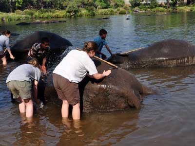 Voyage en Inde d'Erik