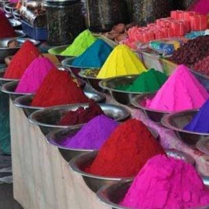 Voyage en Inde d'Erik