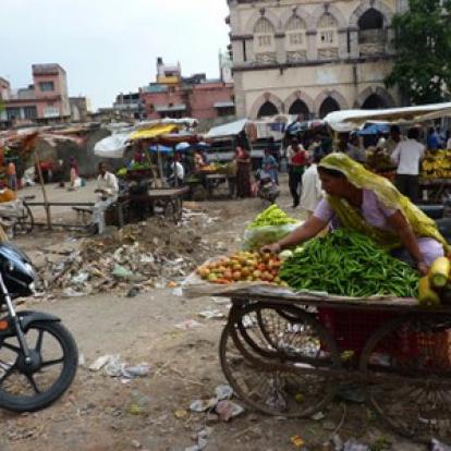 Voyage en Inde de Dominique