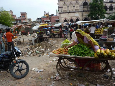 Voyage en Inde de Dominique