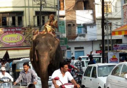 Voyage en Inde de Dominique