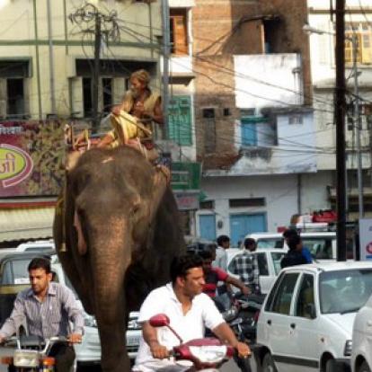 Voyage en Inde de Dominique