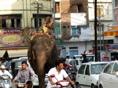 Voyage en Inde de Dominique