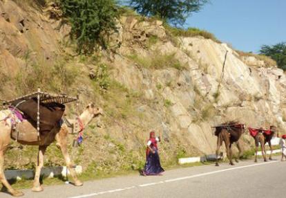 Voyage en Inde de Dominique
