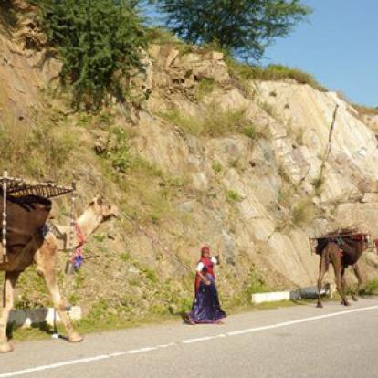 Voyage en Inde de Dominique