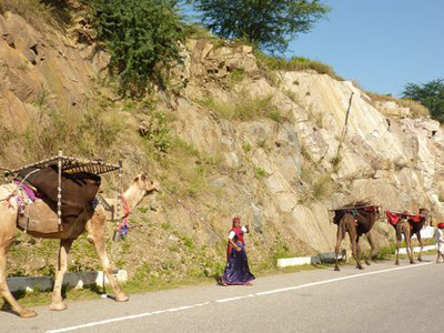 Voyage en Inde de Dominique