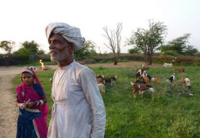 Voyage en Inde de Dominique