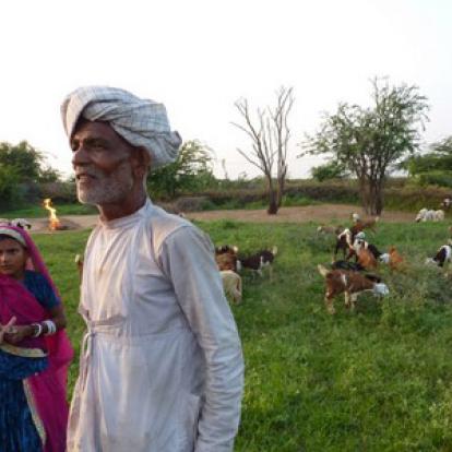 Voyage en Inde de Dominique